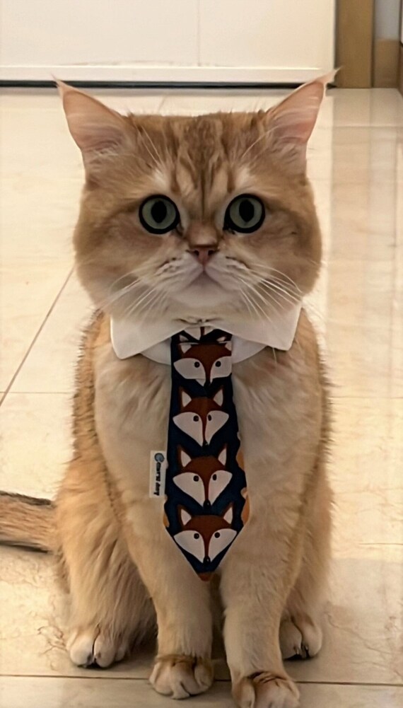 Fox Necktie for Cats Cat Bow Tie Cat Collar Cat Costume Cat Neckwear With White Shirt Collar Cat Accessories Cat Tuxedo Cat Cloth Etsy UK