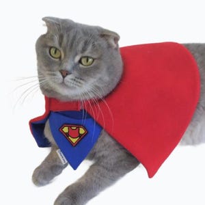 Supercat costume for cats, super hero cape, cat costume,  super cat cloak and bandana, gift for cats, cat accessories