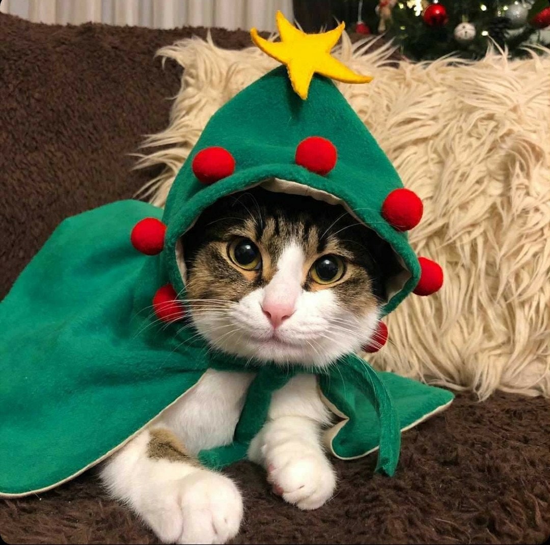 Christmas Tree Costume