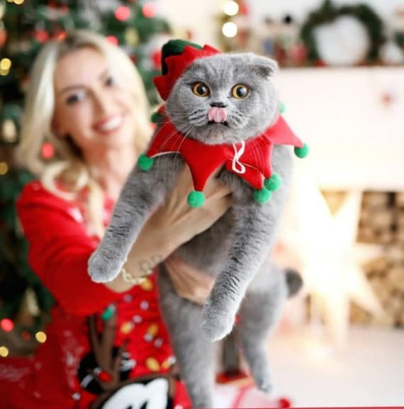 Elf Cat Costume: Handmade Christmas Hat and Scarf Set
