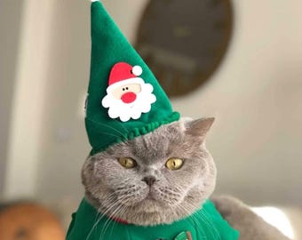 Christmas Cat Hat: Festive Green Pet Costume
