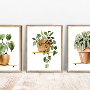 Botanical prints set House plant printable art Home decor Farmhouse Botanical wall art Plant poster for plant lover Watercolor green art