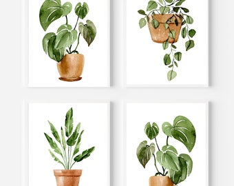May include: Set of four watercolour illustrations of potted plants. Each illustration features a different type of plant with green leaves and a brown pot.
