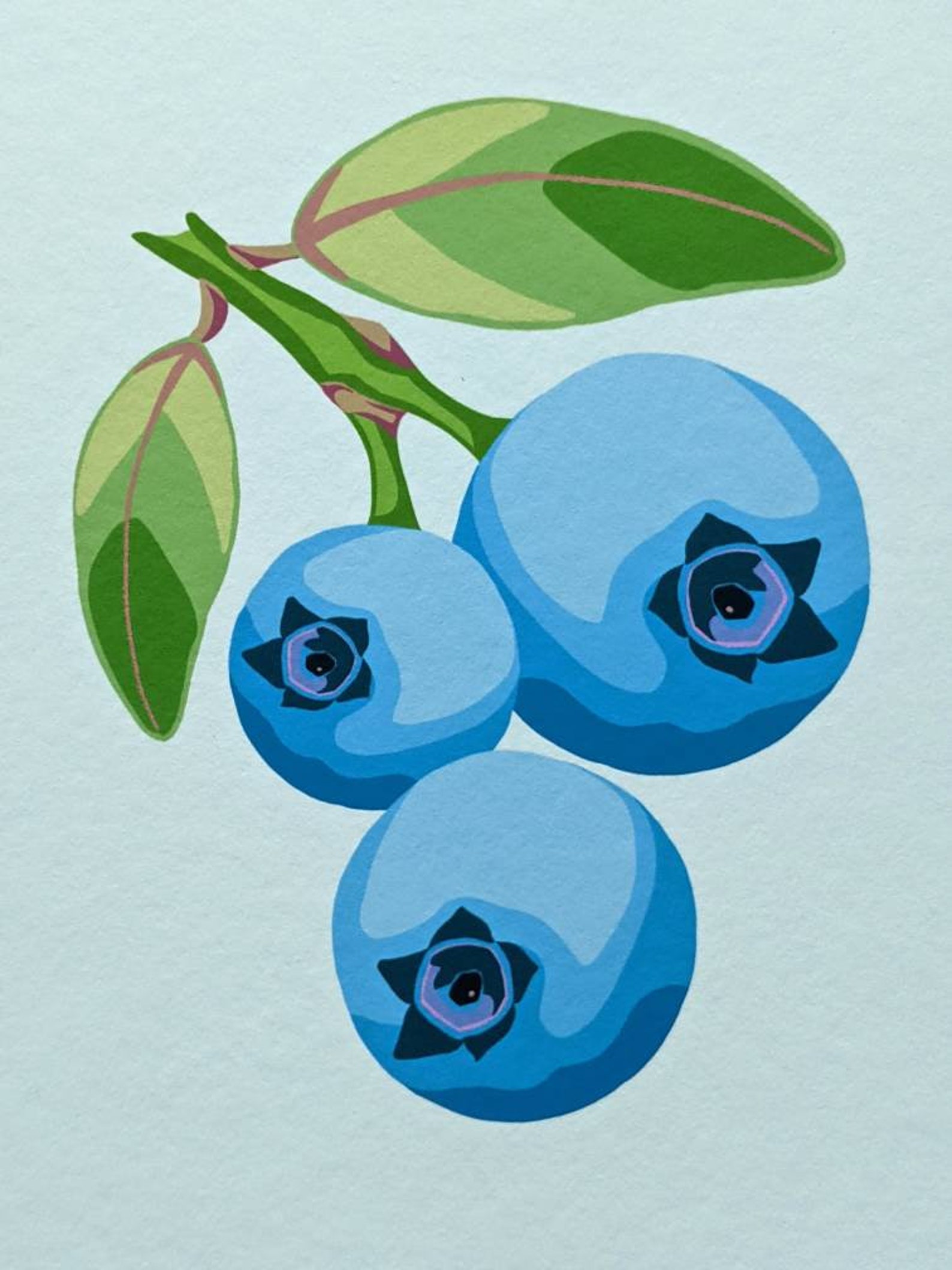 Blueberry Art Print Archival Fine Art Print Seasonal Print Etsy UK