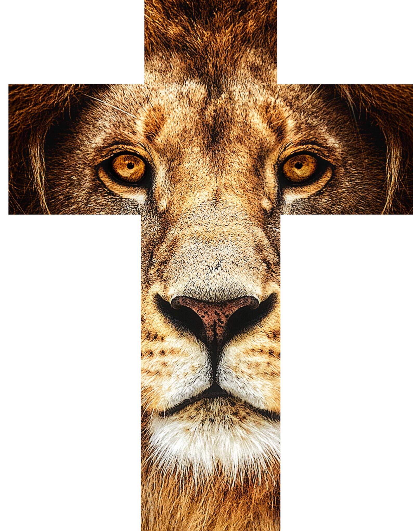 lion of judah tee