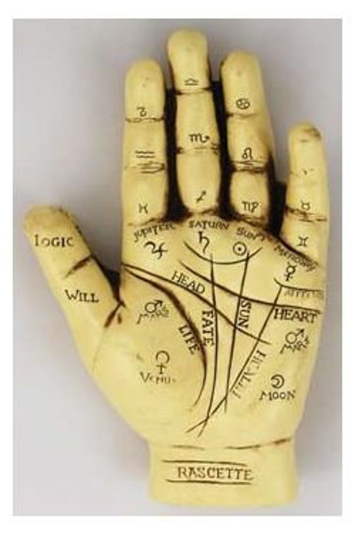 Palmistry Hand Statue. Fortune Telling Palm Reading Statue. Etsy