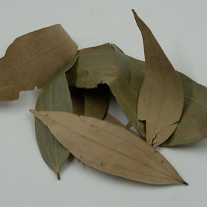 De Bladeren van de baai | Laurus Nobilis | Hele | Biologische | Gedroogde kruiden | Wicca | Hekserij | Los Blad