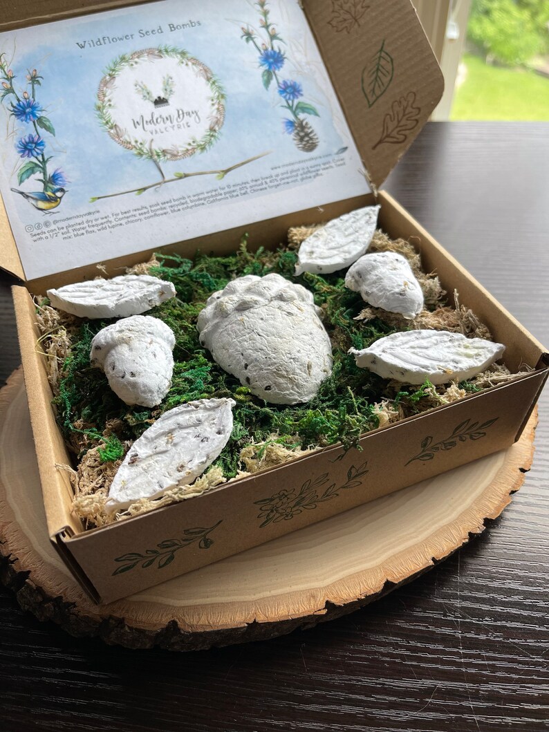 Wildflower Seed Bombs Blue Annual and Perennial Mix Gift Etsy