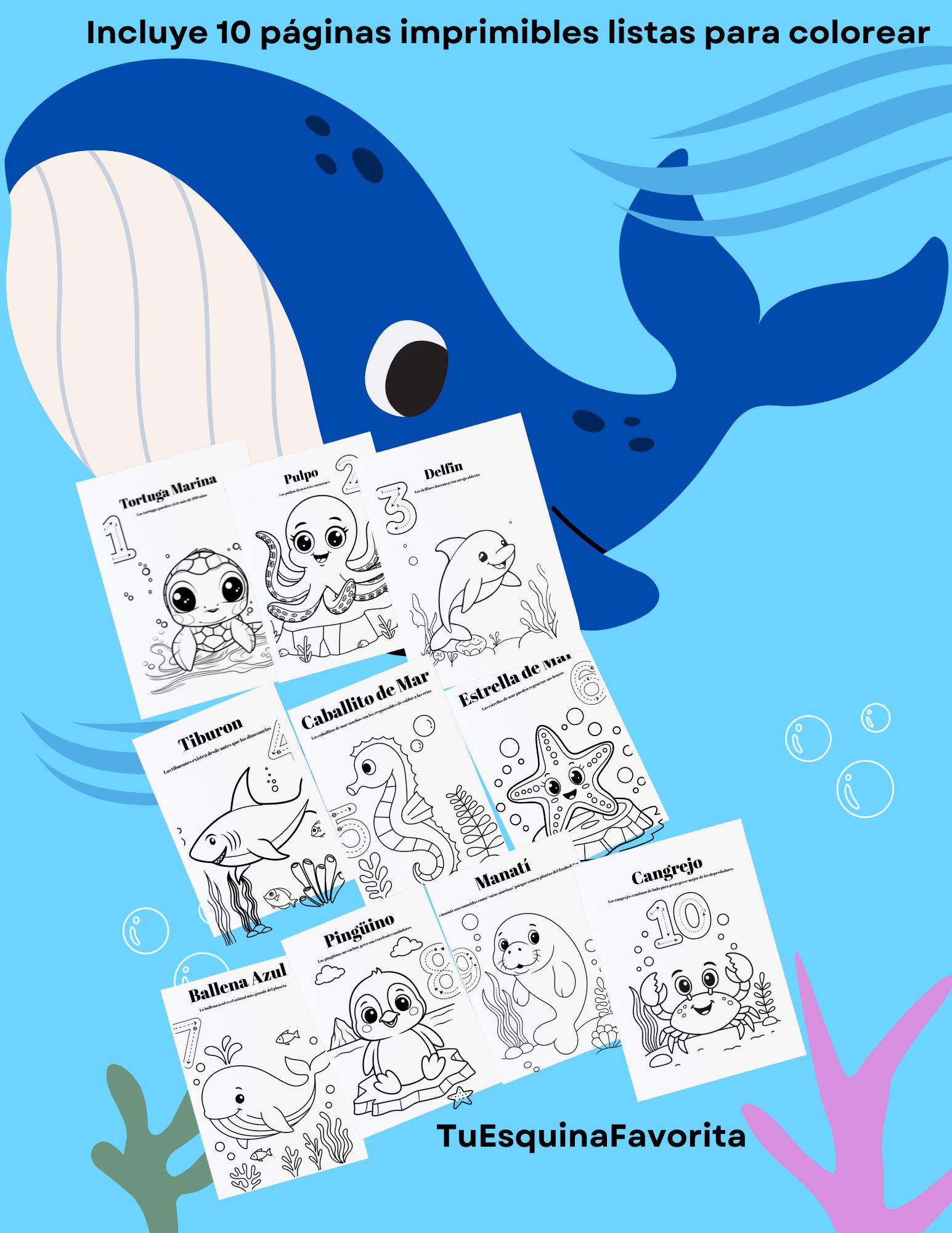 子供向けの海のぬり絵本 - 海の底の10ページ（印刷可能なPDFページ