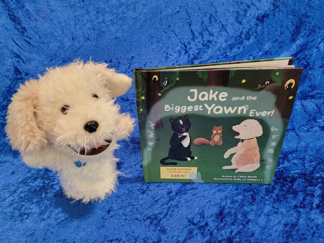 Children's Book and Puppet Gift Set Kids Bedtime Story Etsy