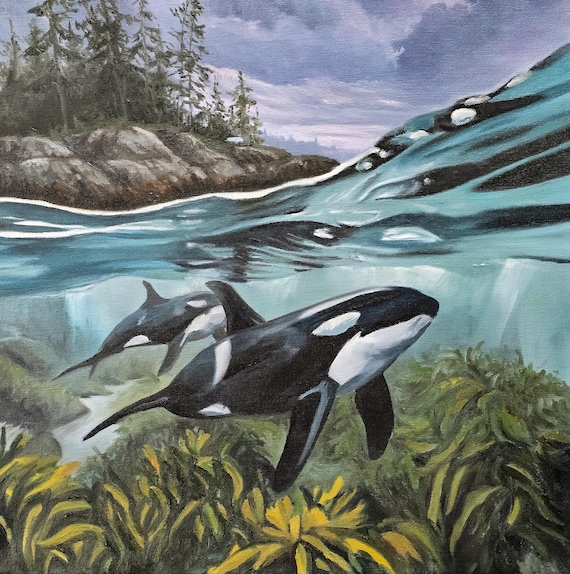 Home Waters, Oil Painting, Original 12x12" Orca Whale painting, Salish sea