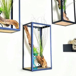 Composition with aerial plants and dried forest branches for wall decoration .