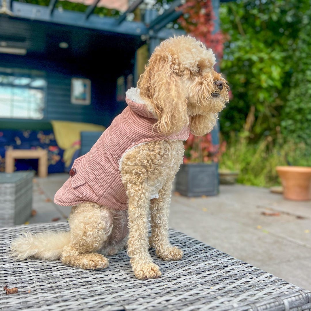Image showcasing Pink Corduroy Dog Coat, Fluffy Lined Winter Apparel - Etsy