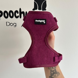 Könnte beinhalten: Burgunderrotes Hundegeschirr mit gerippter Textur und dem Text "Poochy pups" auf einem weißen Etikett.