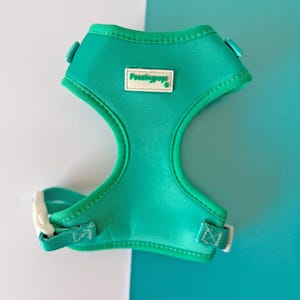 Summer Teal Blue Adjustable Dog Harness