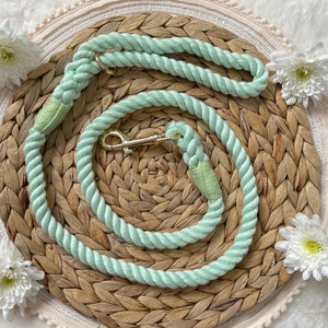 Mint Green Rope Lead - Dog Walking Leash Cotton Durable & Strong