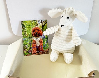 Susie the sheep- Plush Dog Toys