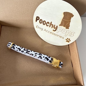 Leopard Dog Collar