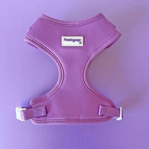 Summer Purple Adjustable Dog Harness