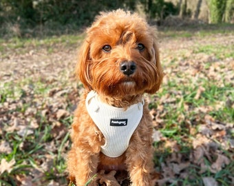 Cream Corduroy Adjustable Dog Harness