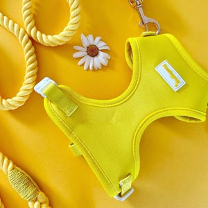 May include: A bright yellow pet harness featuring a white rectangular label with the text doglyness, white plastic buckles, and matching yellow nylon straps. A yellow rope leash with a silver metal clasp and a white daisy flower are also visible.