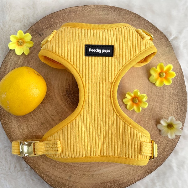 Lemon Cord Adjustable Dog Harness - Premium Dog Harness | Padded Harness | Puppy Dog Harness | Strong & Durable