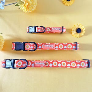 May include: Three red and white dog collars with a smiling sun and cloud pattern. The collars have a black buckle and a black D-ring. The collars are labelled "Poochypups".