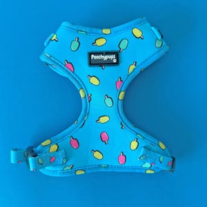 Ice Cream Dog Harness: Adjustable, Breathable Mesh, XS-Large