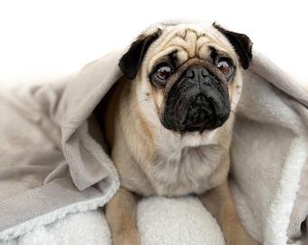 Light Grey Snuggle Sack Pet Bed: Minky Burrow Blanket