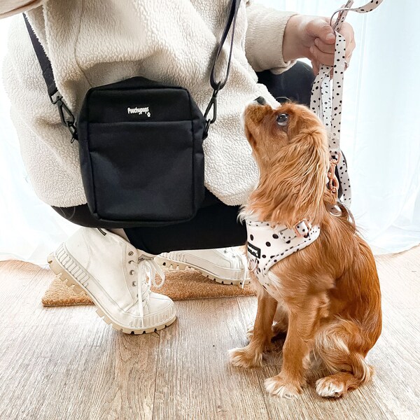 Dog Walking Bag Etsy UK