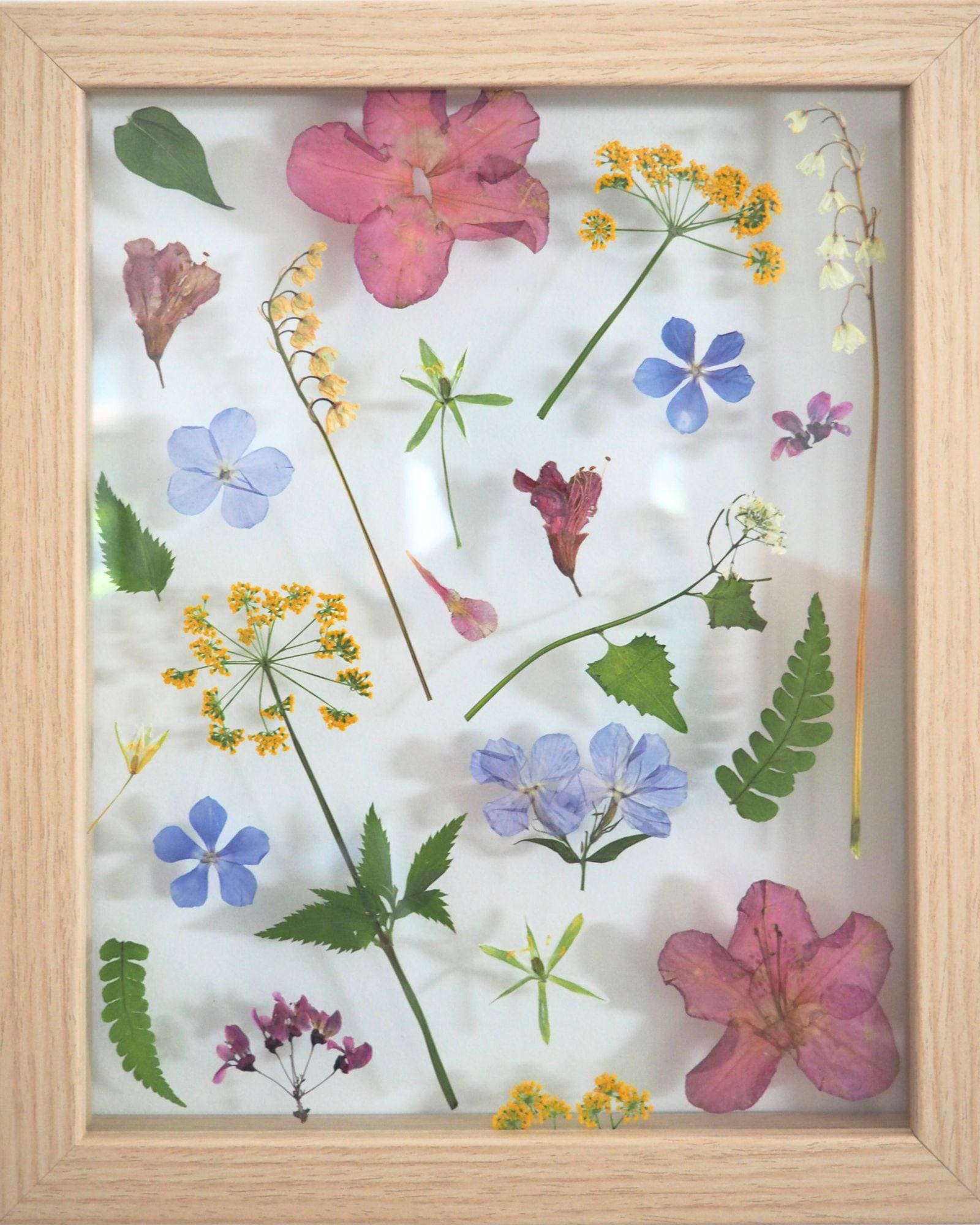 Framed Pressed Spring Flowers, Real Dried Flowers, May Birth Flower ...