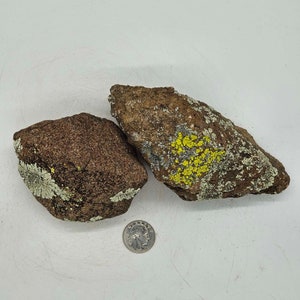 Lichen Staging Rocks - Etsy