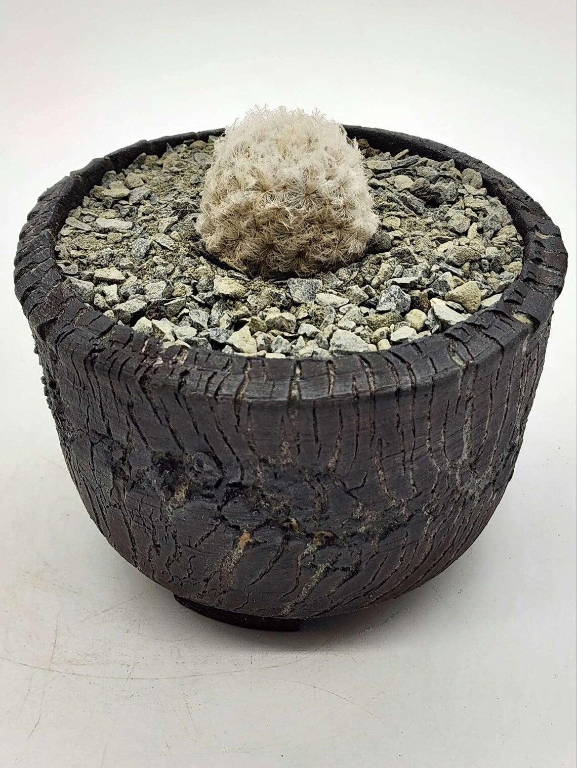 Pewter Gray Crushed Rock Soil Topper - 2.5LB Bag