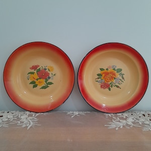 A Set of 2 Enamel Plate, Flowered trimmed enamelware plate, Farmhouse Kitchen Enamelware plate,