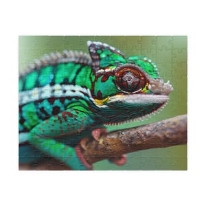 Colorful Chameleon Jigsaw Puzzle: Fun Family Game Night