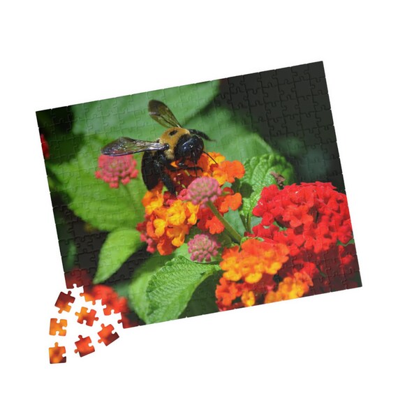 Floral Bee Jigsaw Puzzle – Botanical Garden Nature Photography (110/252/520 Pieces)