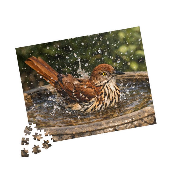 Brown Thrasher Bird Bath Jigsaw Puzzle 110, 252, or 520 Piece | Wildlife Nature Puzzle