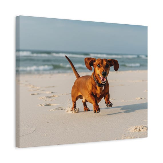 Mahogany Dachshund Canvas Wall Art - Dog Lover Home Decor Gift 20x16 Print