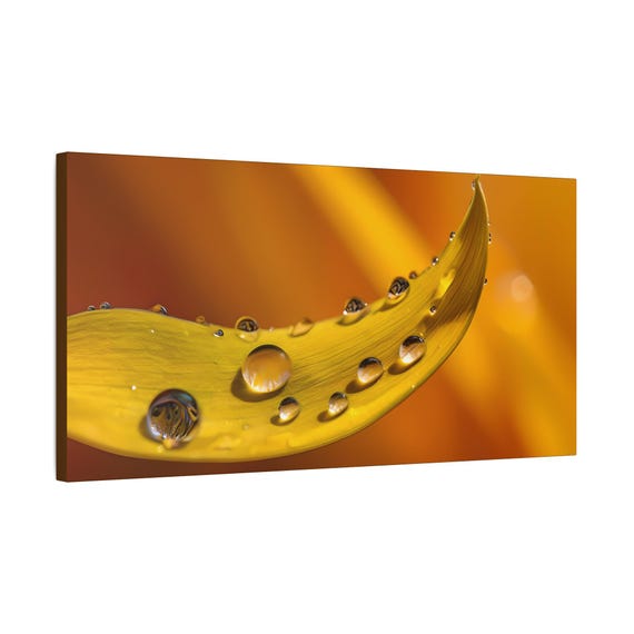 Dewy Yellow Petal Canvas Print | Close-up Nature Macro Wall Art