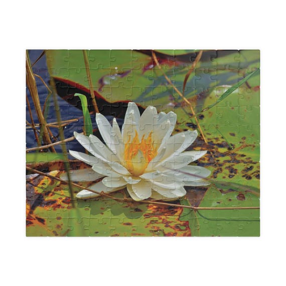 Serene Water Lily Puzzle | Relaxing Nature Jigsaw, Flower Gift, Mindfulness Activity, Family Fun, Home Decor