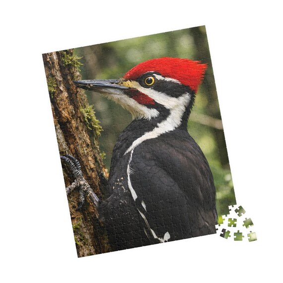 Pileated Woodpecker Puzzle | Colorful Bird Jigsaw | 110 pc or 520 pc