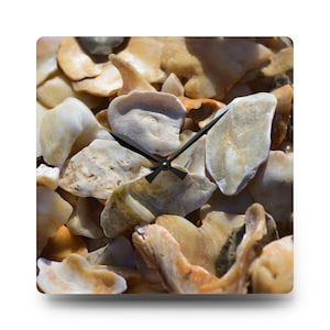 May include: Square wall clock featuring a close-up of seashells in shades of beige, cream, and tan. The clock hands are black. The clock face is a photograph of the seashells. The clock is square and has a white border.