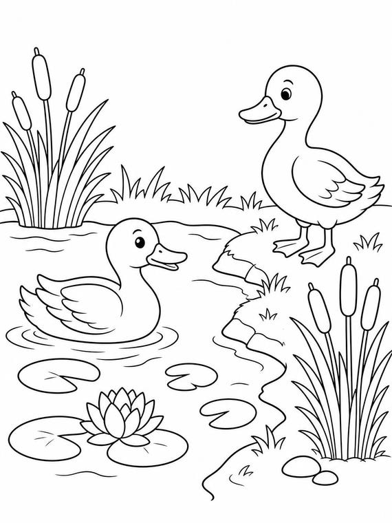 Ducks in a Pond Coloring Page | Nature Scene Printable (Digital Download)
