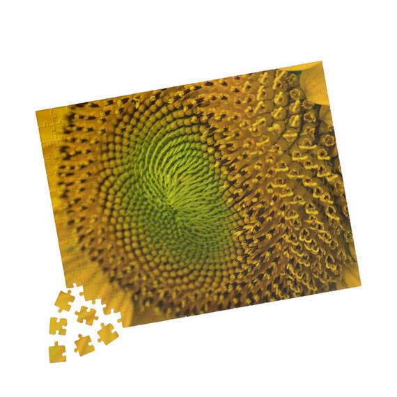 Sunflower Spiral Jigsaw Puzzle – Vibrant Nature Art, Relaxing Activity (110-520 Pieces)