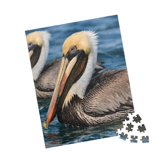 Brown Pelican on Water Jigsaw Puzzle - Coastal Wildlife Bird Art for Nature Lovers