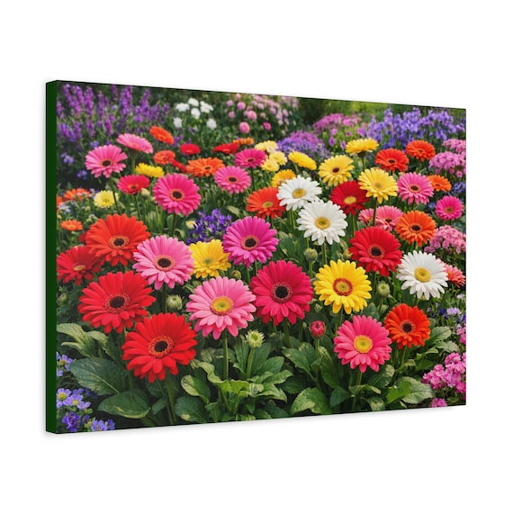 Colorful Gerbera Daisy Field Matte Canvas Print | Floral Wall Art | Ready to Hang
