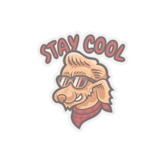 Weatherproof 'Stay Cool' Vinyl Stickers for Laptops, Water Bottles, Lockers & More - Fun Trendy Decals