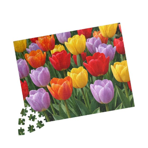 Colorful Tulip Field Jigsaw Puzzle 110-1014 Pieces | Spring Flower Garden Family Entertainment Gift