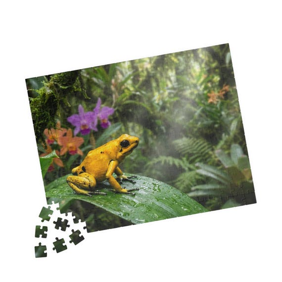 Golden Poison Dart Frog Rainforest Wildlife Puzzle 110/252/520 Piece Nature Jigsaw Gift