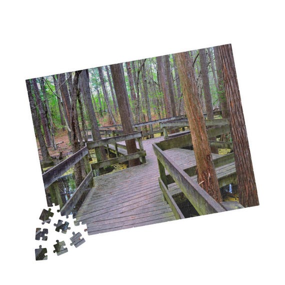 Serene Forest Jigsaw Puzzle – Woodland Boardwalk Nature Scene (110/252/520 Pieces)